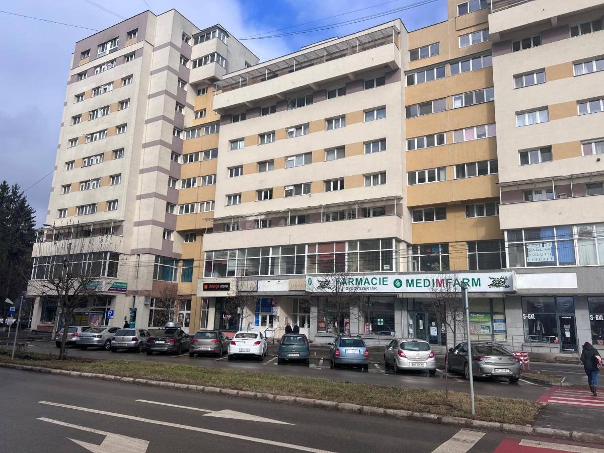 Victoria Apartment 密古雷休治 外观 照片